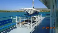 Ro-Ro ship Parduodama