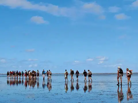 Barža parduodamas