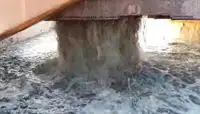 Dregirė parduodamas