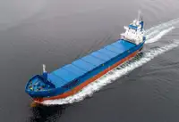 Birių krovinių laivas Parduodama