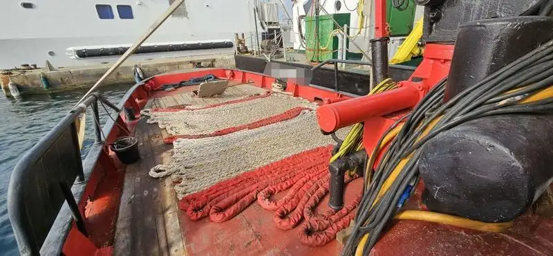 Vilktukas parduodamas