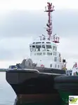 Vilkikas Parduodama
