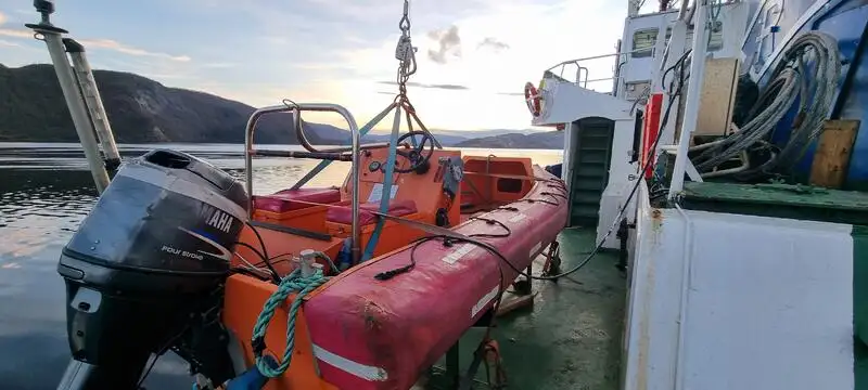 Vilktukas parduodamas