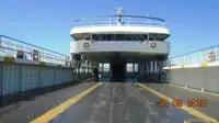 Ro-Ro ship Parduodama