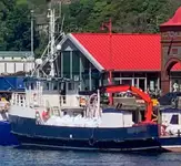 Darbiniai laivai parduodamas