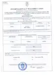 Ro-Ro laivas parduodamas