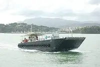 Desantinis tankinis laivas parduodamas