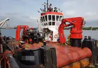 Vilktukas parduodamas