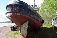 Vilktukas parduodamas