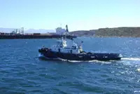 Vilktukas parduodamas
