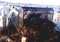 Barža parduodamas