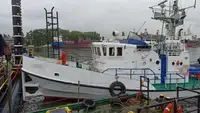 Vilkikas Parduodama