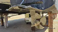 Katamaranas parduodamas