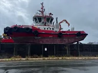 Vilktukas parduodamas