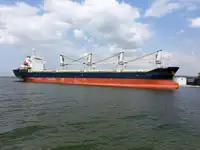 Birių krovinių laivas Parduodama