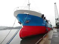 Birių krovinių laivas Parduodama