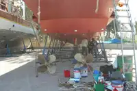 Vilktukas parduodamas