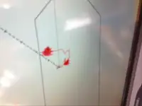 Vilktukas parduodamas