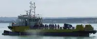 Vilktukas parduodamas