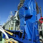 Purse seiner Parduodama