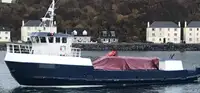 Darbiniai laivai parduodamas