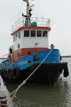 Vilktukas parduodamas