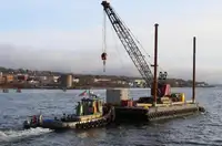 Vilktukas parduodamas