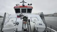 Vilktukas parduodamas