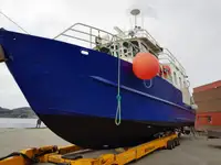 Vilktukas parduodamas