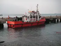 Vilktukas parduodamas