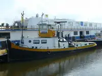 Vilkikas Parduodama