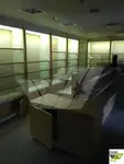 Kruizinis laivas parduodamas