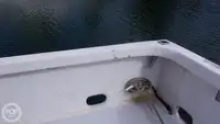 Nardymo palaikymo laivas parduodamas