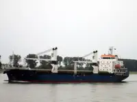 Birių krovinių laivas Parduodama