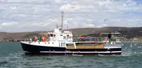 Purse seiner Parduodama