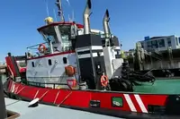 Vilkikas Parduodama