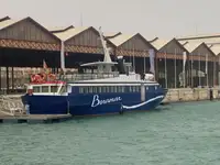 Kruizinis laivas parduodamas