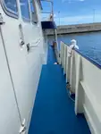 Vilktukas parduodamas