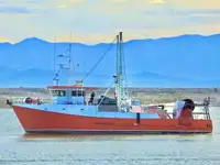 Trawler Parduodama