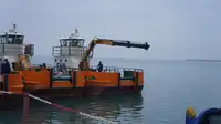 Vilkikas Parduodama