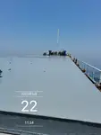 Birių krovinių laivas Parduodama