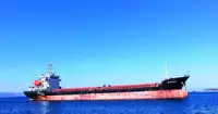 Birių krovinių laivas Parduodama