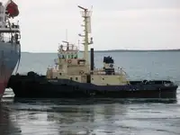 Vilktukas parduodamas