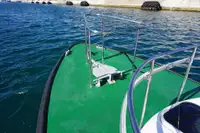 Pilotinis kateris Parduodama