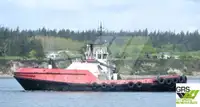 Vilktukas parduodamas