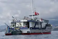 Vilktukas parduodamas