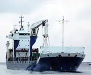 Birių krovinių laivas Parduodama