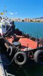 Darbiniai laivai parduodamas