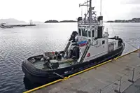 Vilktukas parduodamas
