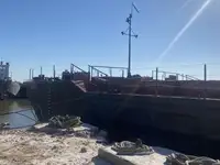 Vilktukas parduodamas